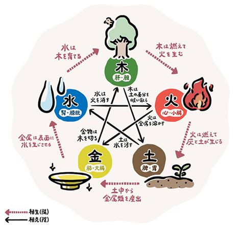 風 五行|五行説（五行思想）とは？ 色と季節・意味